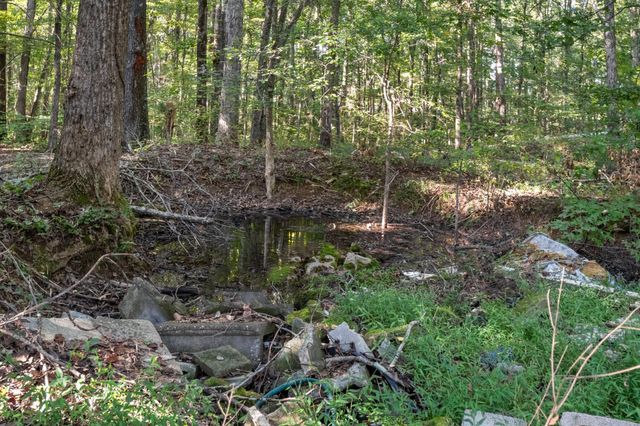 1127 E Pruett Rd, Dickson, TN 37055