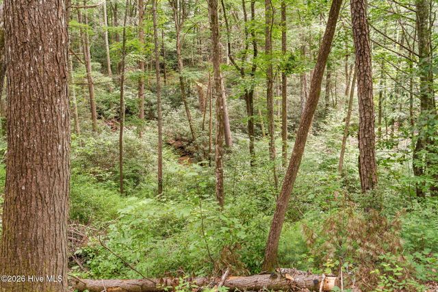 910 Laurel Branch Road, Murphy, NC 28906