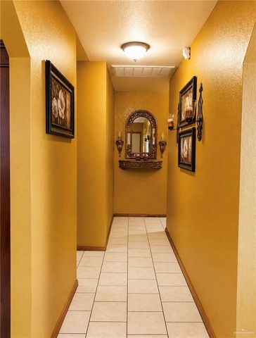 279 Las Palmas Street, La Grulla, TX 78548