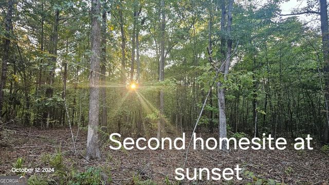 584 Moccasin Gap Road, Jackson, GA 30233