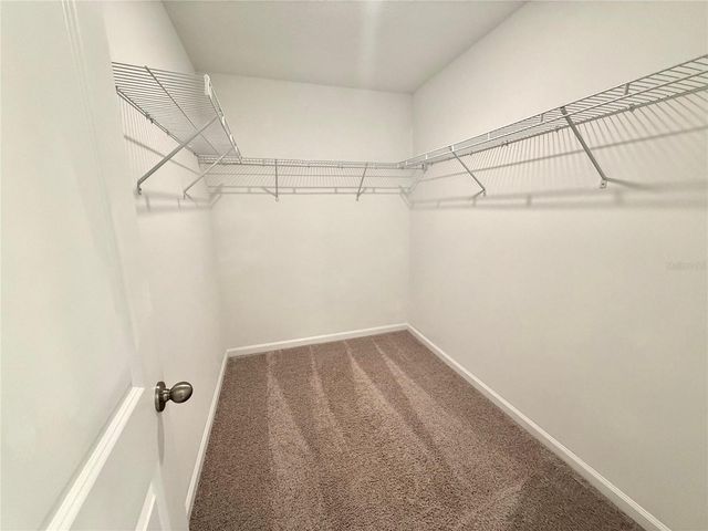 5956 PINEY SHRUB PLACE, St Cloud, FL 34771