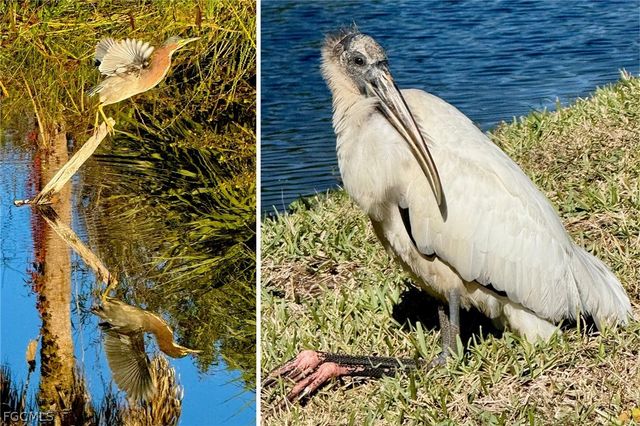 14593 Aeries Way DR, Fort Myers, FL 33912