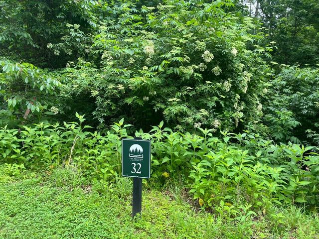 32R Roaring Forks Lane, Ellijay, GA 30540