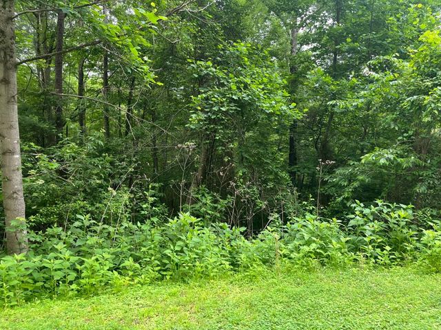 32R Roaring Forks Lane, Ellijay, GA 30540