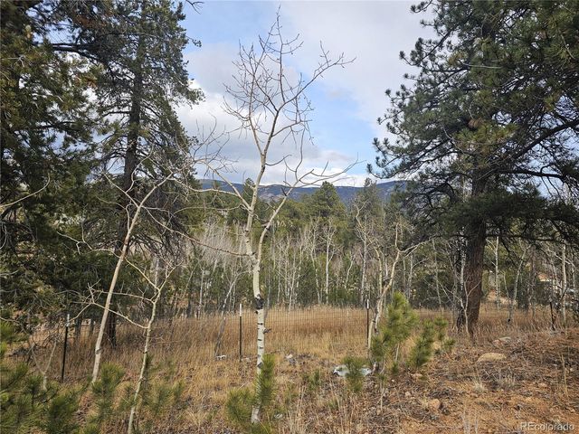 426 Houston Street, Bailey, CO 80421