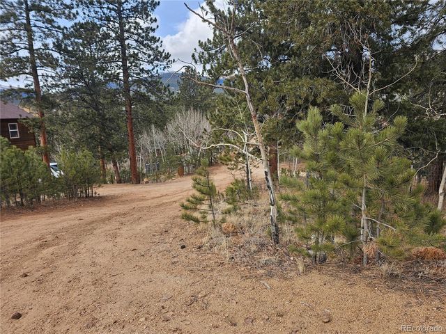 426 Houston Street, Bailey, CO 80421