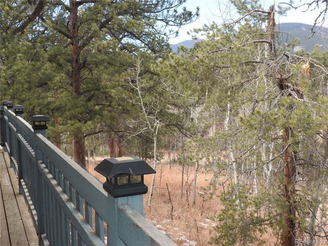 426 Houston Street, Bailey, CO 80421