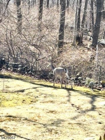 8 Loyola Ct, Hopatcong Boro, NJ 07843