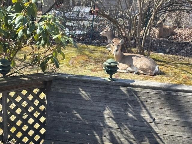 8 Loyola Ct, Hopatcong Boro, NJ 07843