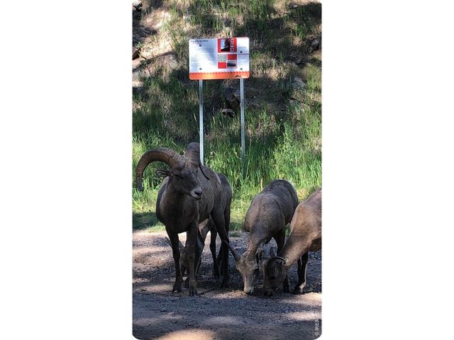 438 Aspen Dr, Lyons, CO 80540