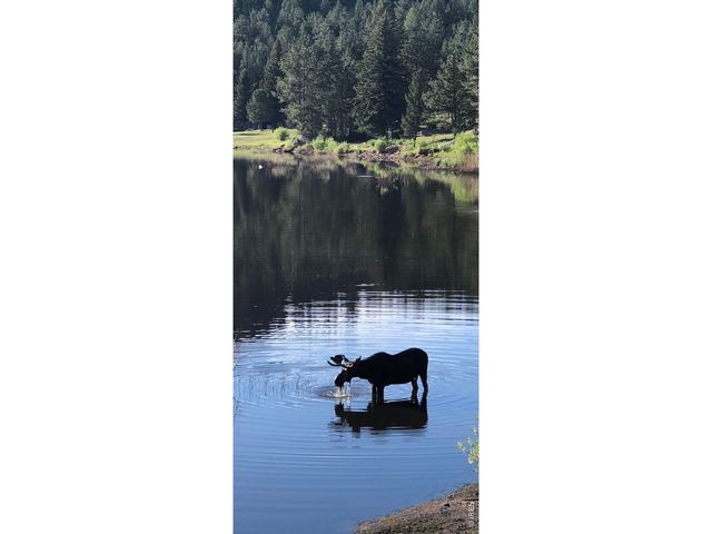 438 Aspen Dr, Lyons, CO 80540