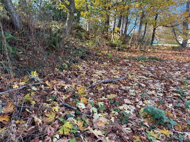 43 Beach Way, Hat Island, WA 98206