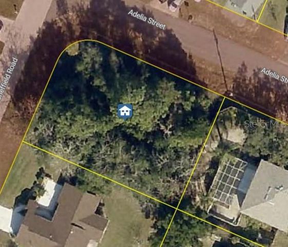 11416 ADELIA STREET, Spring Hill, FL 34608