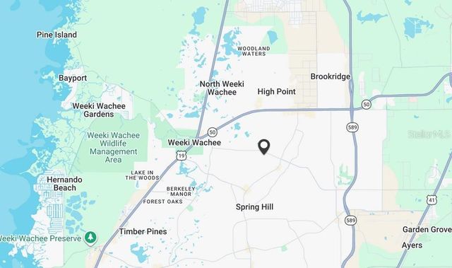 11416 ADELIA STREET, Spring Hill, FL 34608