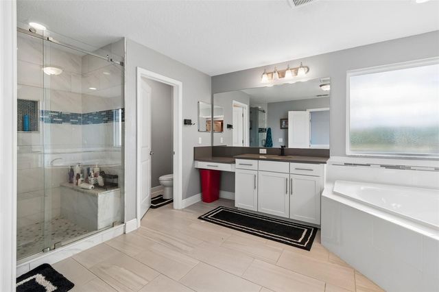 10316 CLOVER PINE DRIVE, Tampa, FL 33647