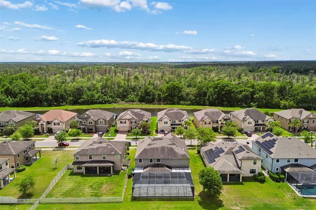 10316 CLOVER PINE DRIVE, Tampa, FL 33647