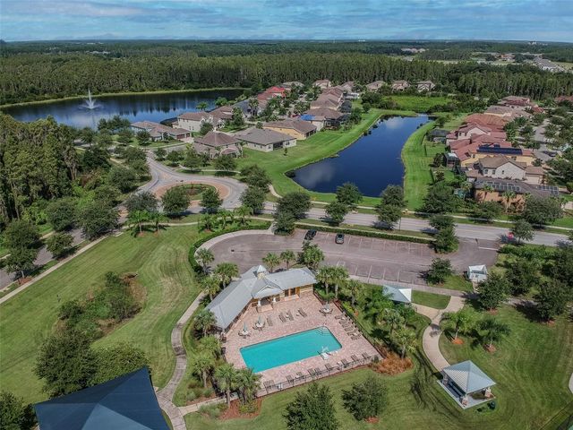 10316 CLOVER PINE DRIVE, Tampa, FL 33647