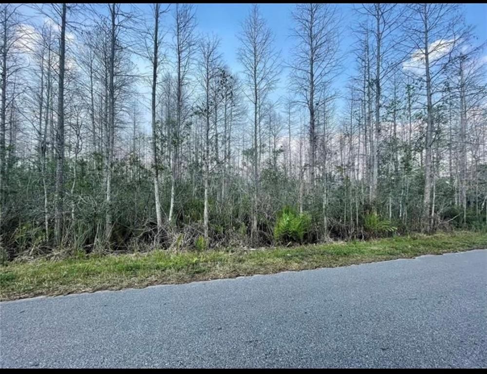 LUNA DR, Saint Cloud, FL 34773
