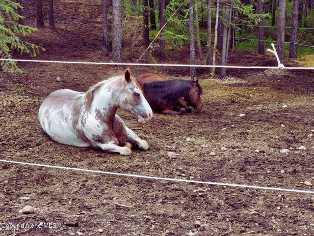 34517 N Hayden DR, Spirit Lake, ID 83869