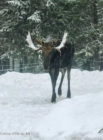 34517 N Hayden DR, Spirit Lake, ID 83869