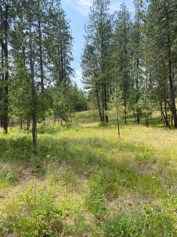 XXXXX E Elk-Chattaroy Rd, Elk, WA 99009
