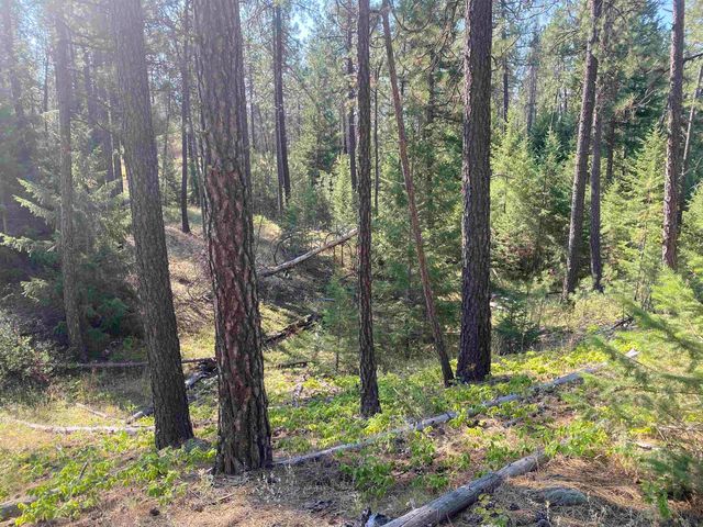 XXXXX E Elk-Chattaroy Rd, Elk, WA 99009