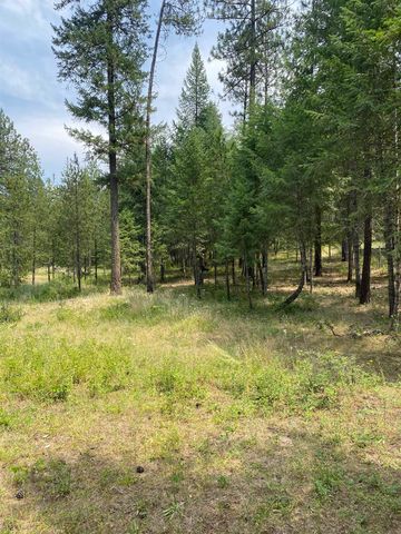 XXXXX E Elk-Chattaroy Rd, Elk, WA 99009