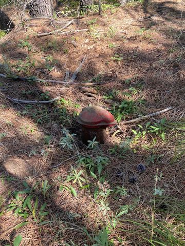 XXXXX E Elk-Chattaroy Rd, Elk, WA 99009