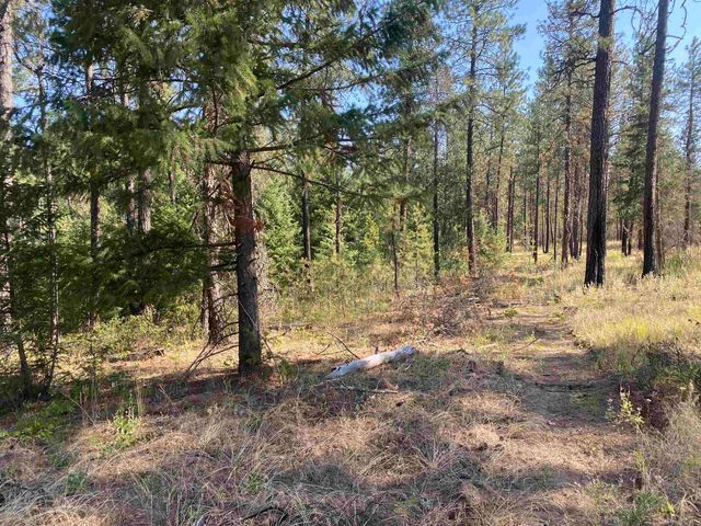 XXXXX E Elk-Chattaroy Rd, Elk, WA 99009