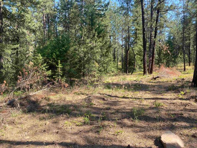 XXXXX E Elk-Chattaroy Rd, Elk, WA 99009