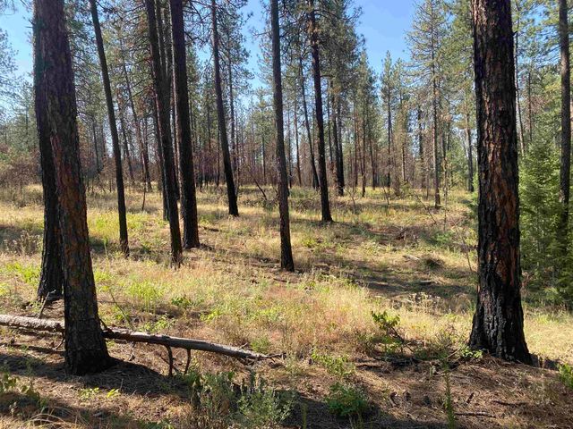 XXXXX E Elk-Chattaroy Rd, Elk, WA 99009