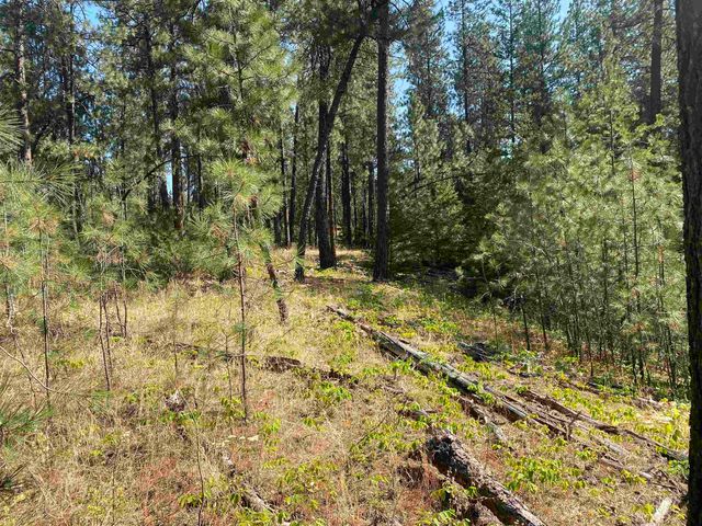 XXXXX E Elk-Chattaroy Rd, Elk, WA 99009