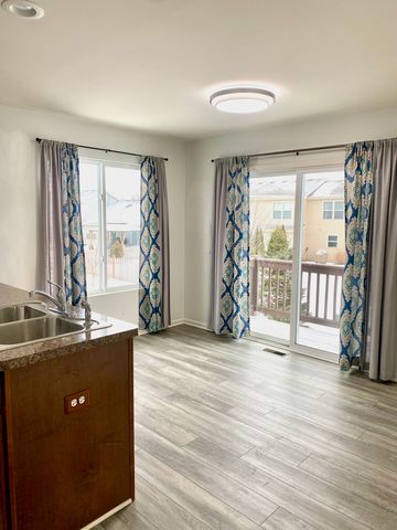 308 Niagara Drive, Volo, IL 60073