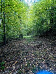 0 Luxury Lake None 5A/6A/7A, Etowah, NC 28739