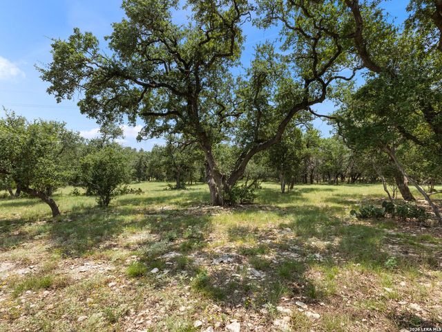 32746 Stahl Lane, Bulverde, TX 78163