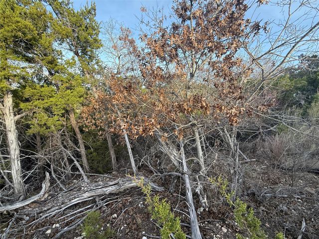 Lot 180 Lookout Mountain RD, Johnson City, TX 78636