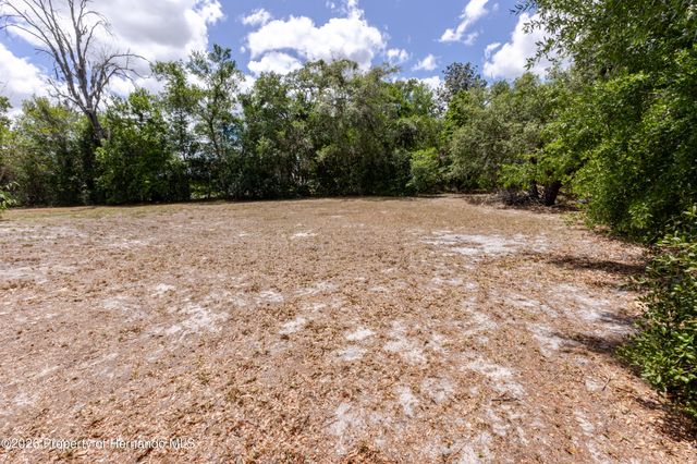 14692 Linden Drive, Spring Hill, FL 34609