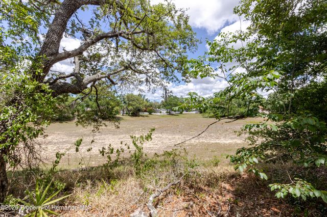 14692 Linden Drive, Spring Hill, FL 34609