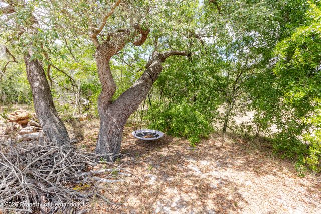 14692 Linden Drive, Spring Hill, FL 34609