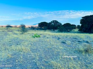 TBD E Gunpowder (39.13 acres) Trail 40, Hereford, AZ 85615