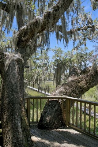 710 Creekside Drive, Mount Pleasant, SC 29464
