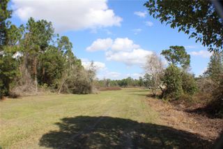 0 Gracie DRIVE, Paisley, FL 32767