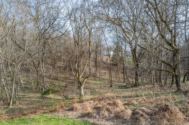 2070 Garner Rd, Mount Pleasant, TN 38474