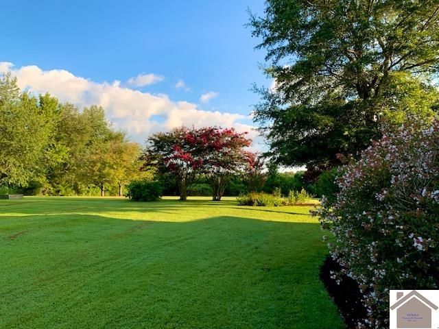 3588 ST RT 58 E, Mayfield, KY 42066