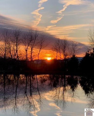 3588 ST RT 58 E, Mayfield, KY 42066