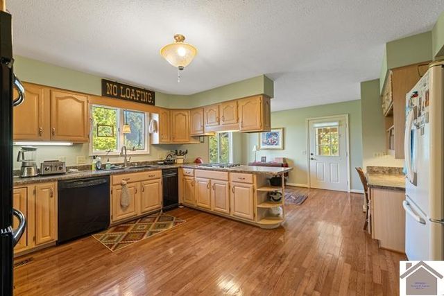 3588 ST RT 58 E, Mayfield, KY 42066