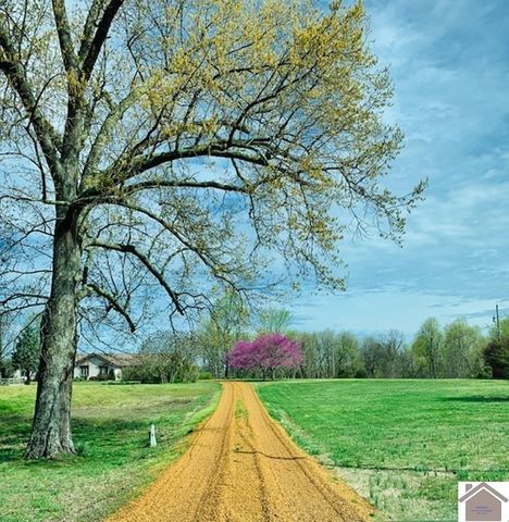 3588 ST RT 58 E, Mayfield, KY 42066