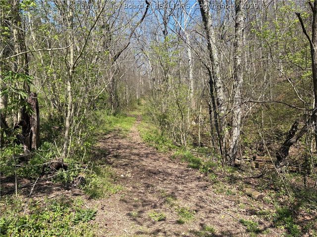 4065 Mill Creek Road, Mount Alto, WV 25264