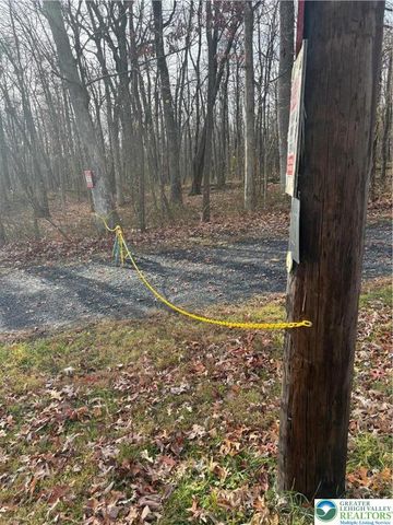 1433 Deerpath Drive, Lehigh Twp, PA 18088