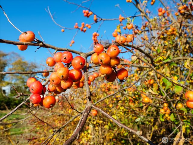 5953 Old Olympic Highway, Sequim, WA 98382